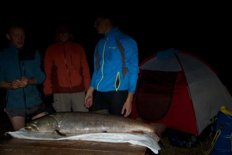 a large fish that is laying on top of a table