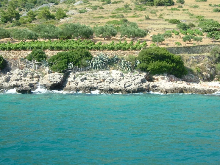 an island next to water with grass growing from it