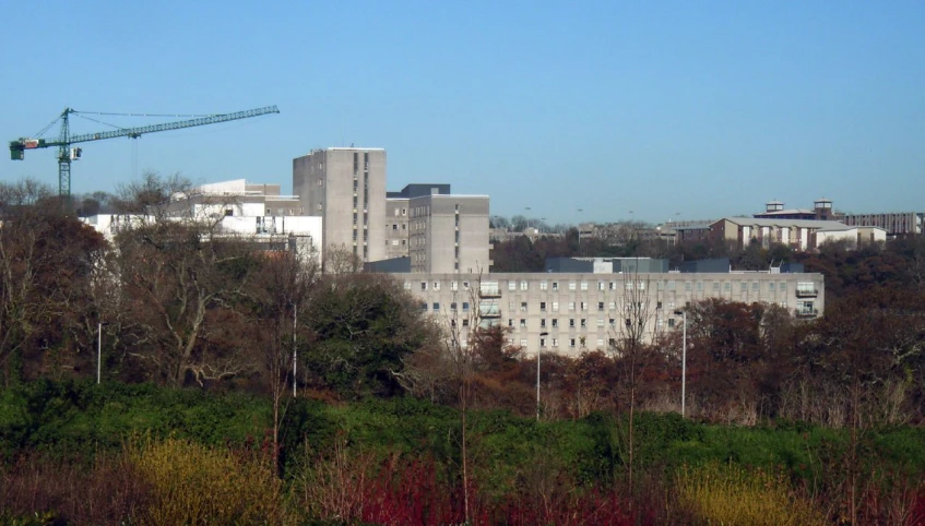 the crane is sitting in the trees near the building