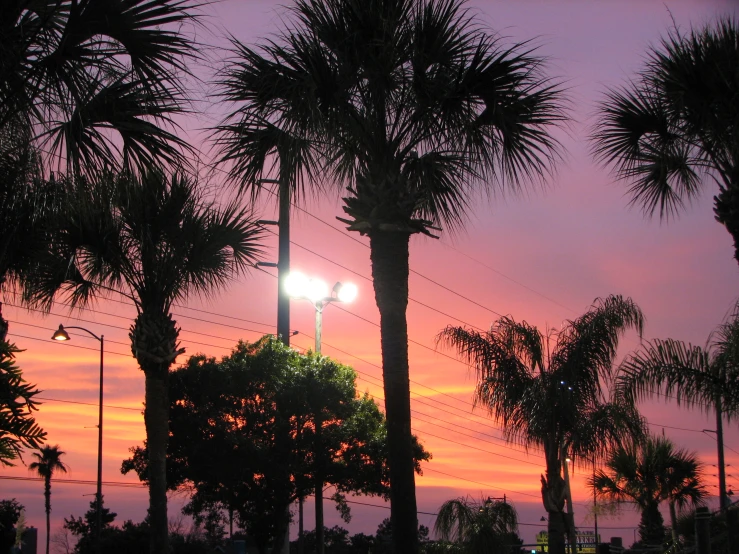 the sun is rising over palm trees in front of a parking lot