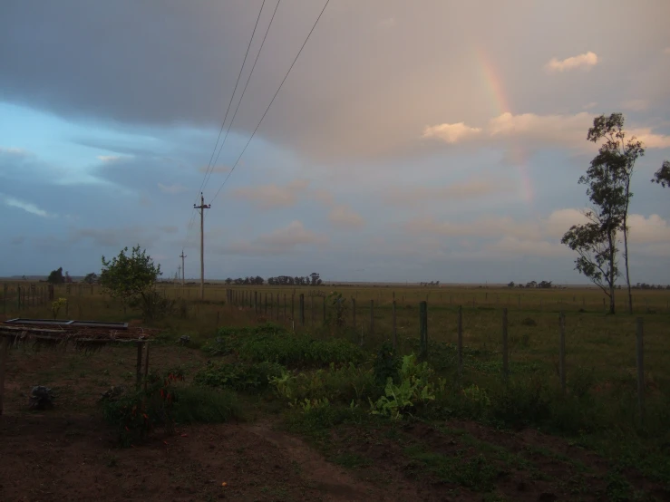 the view of a pasture with power lines and rainbows in the sky