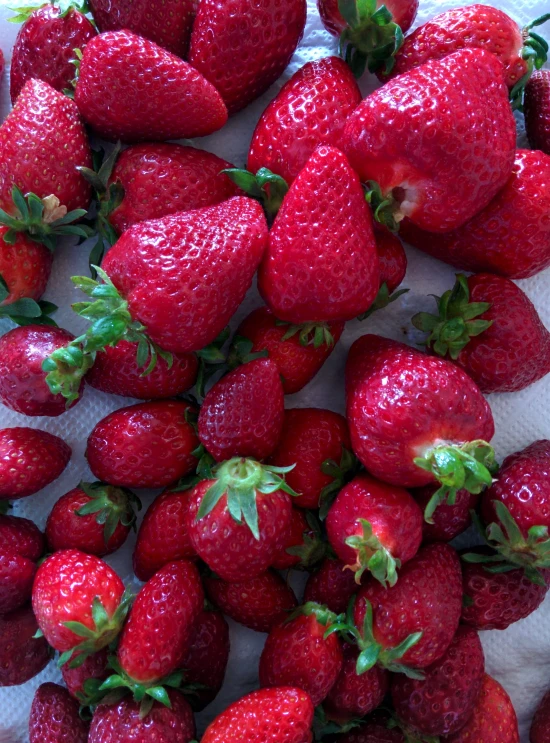 a white bowl filled with many ripe strawberries