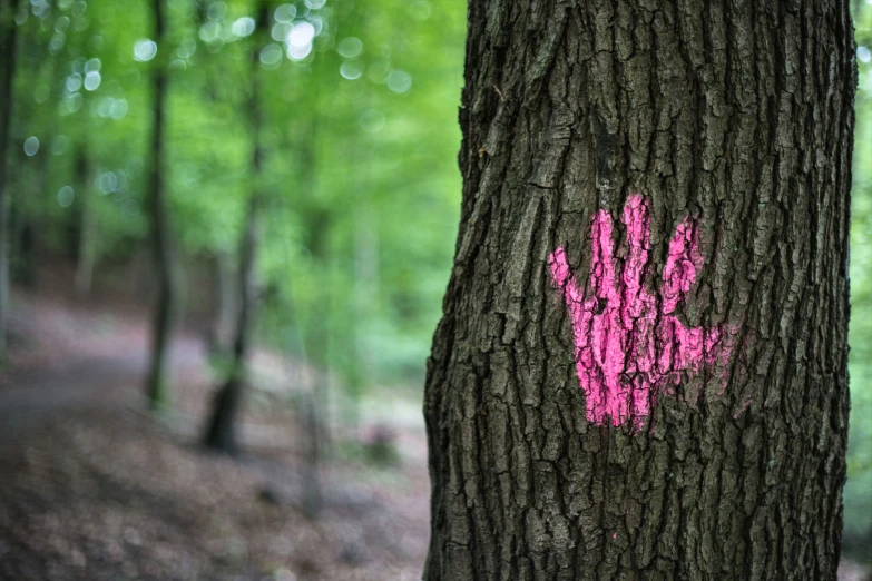 a painted hand in the woods with a pink marker on it
