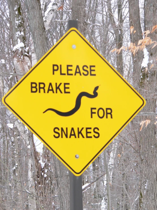 there is a sign warning people that snakes are not allowed