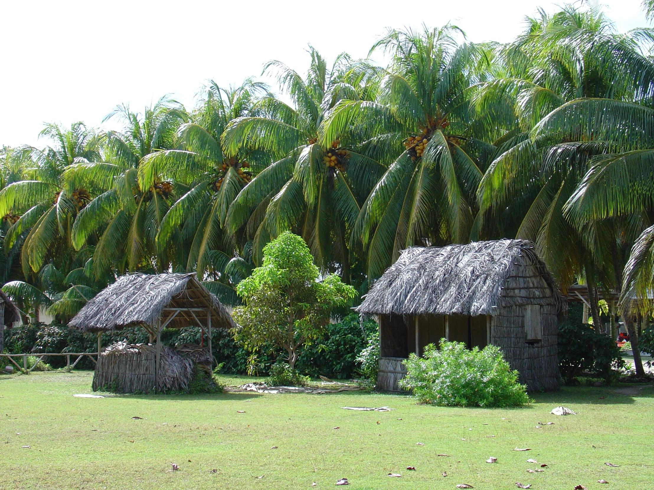 a group of huts sit on the green grass