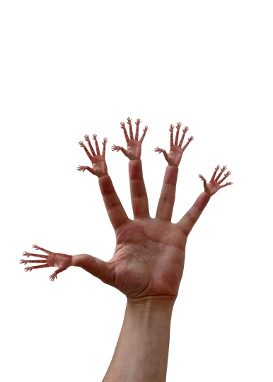 two hands and their arms are outstretched towards the sky