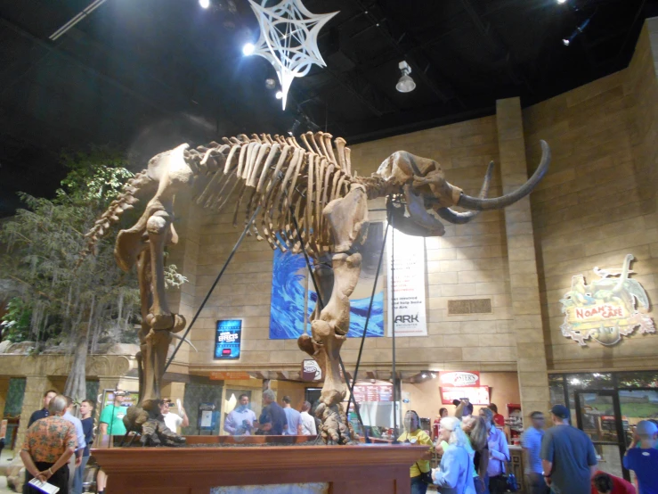 museum display of dinosaurs with many people walking by