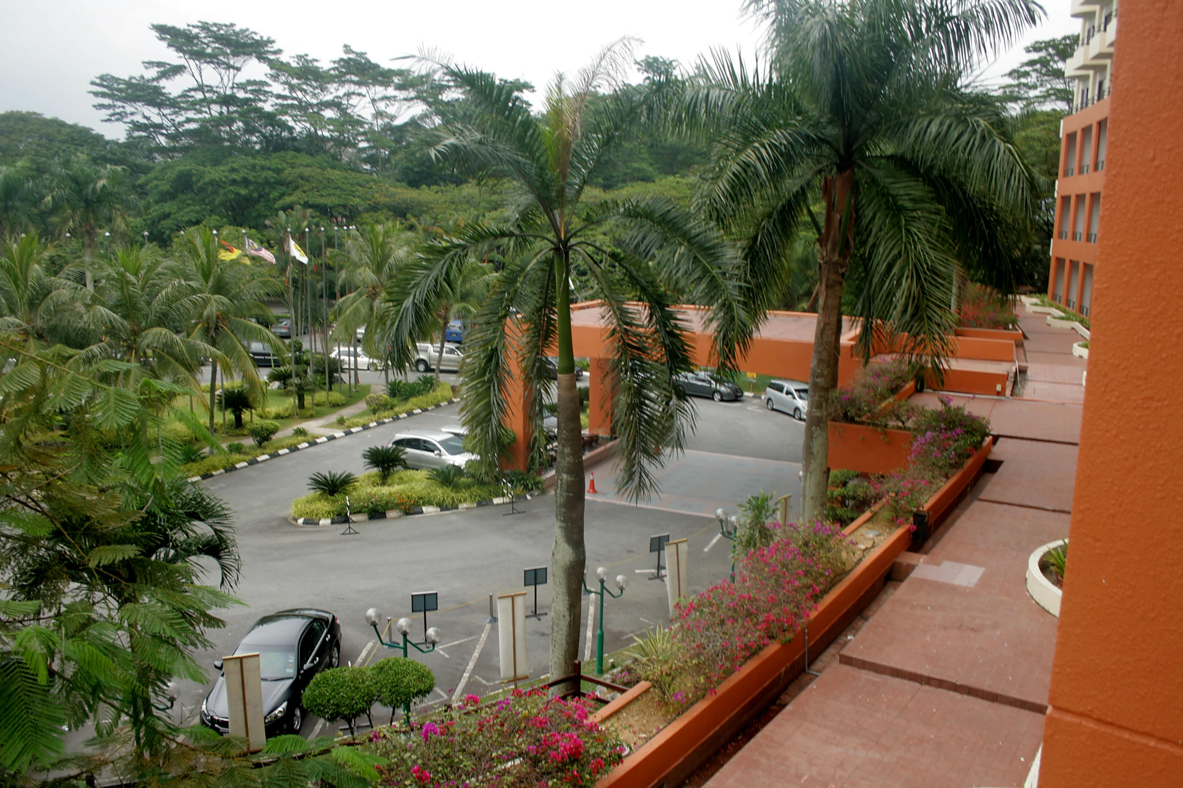 there is a parking lot and parking lot with palm trees