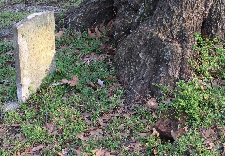 a headstone sitting next to a tree on a green lawn