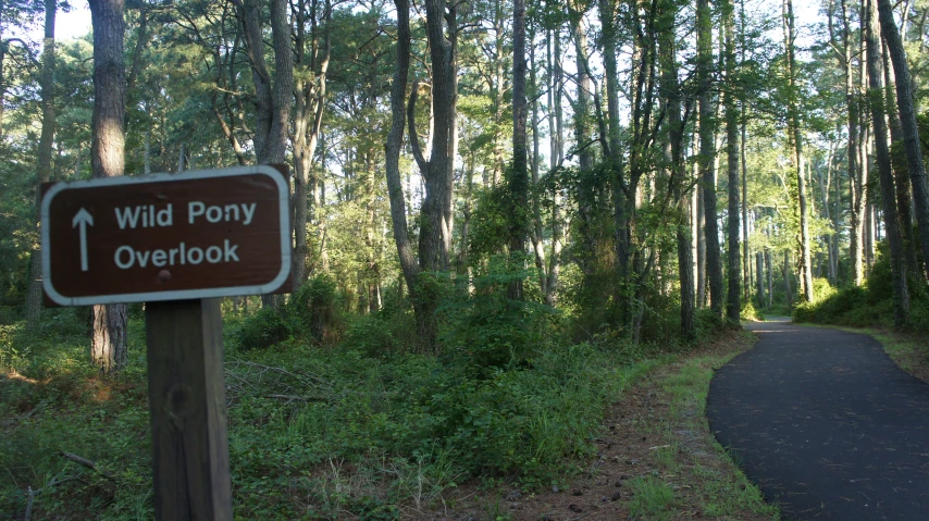 there is a sign pointing towards a wooded area