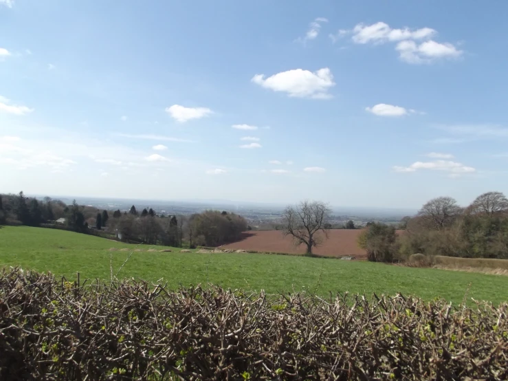 view of the countryside from an overlook with tall hedge