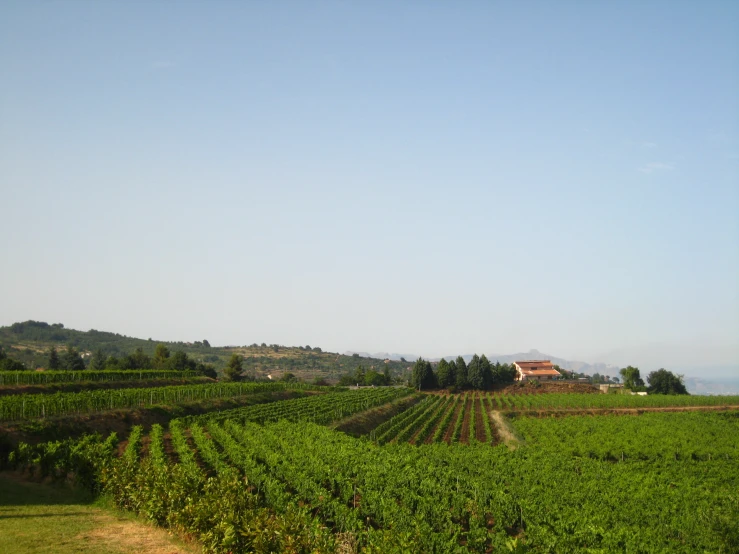 a farm field with a house in the distance