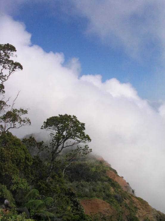 some very tall mountains with a couple trees on each side