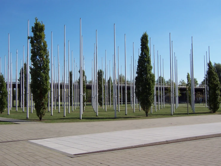 a row of trees with white poles behind them