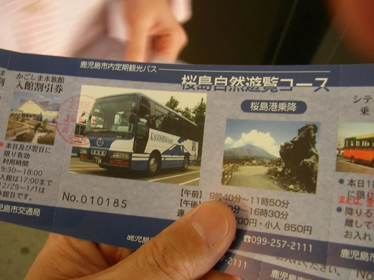a person holding a bus ticket for the day