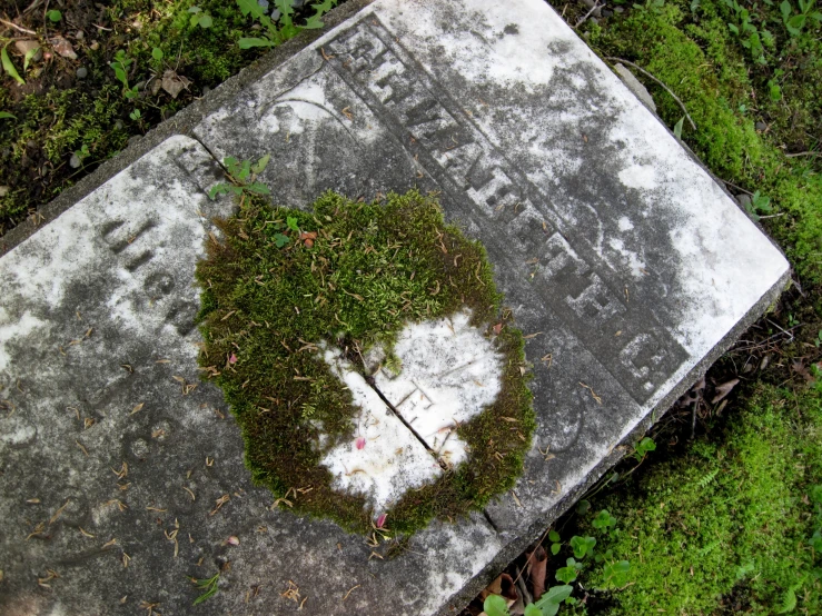 the grave with moss on it has a heart cut out of it