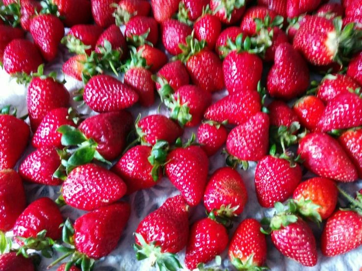 many large strawberries are scattered on a sheet