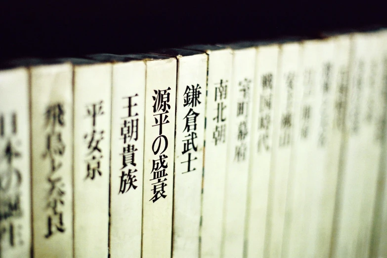 chinese writing on book pages with japanese words