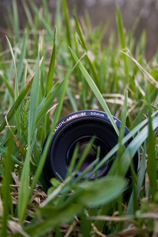 a camera lens is sitting in the grass