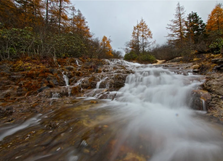 water flows down the rocks below a forest