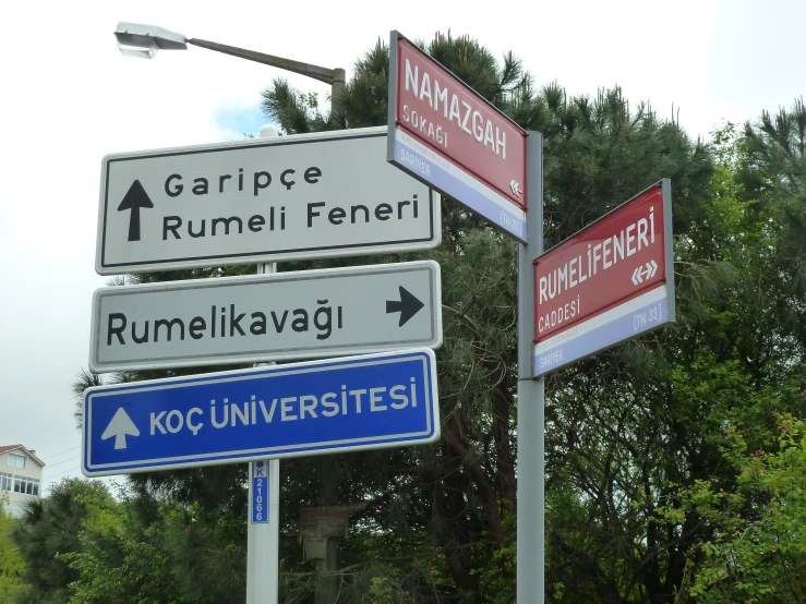 many different street signs in various languages and languages