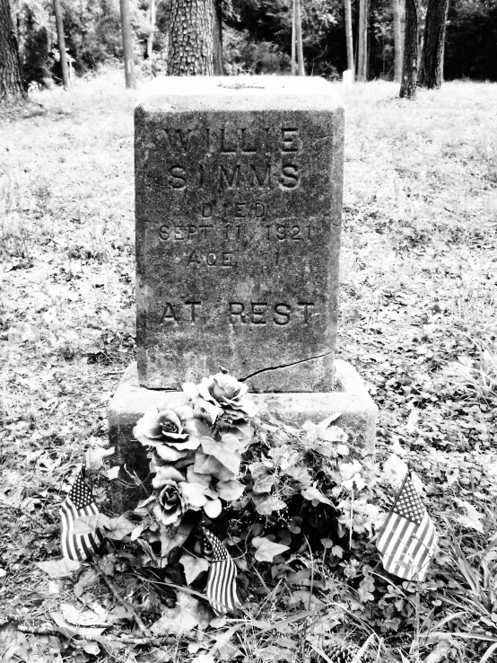 a grave is surrounded by leaves and trees
