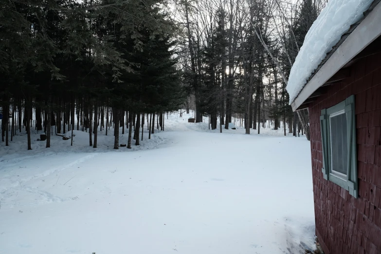 red cabin surrounded by snow and forest on a sunny day