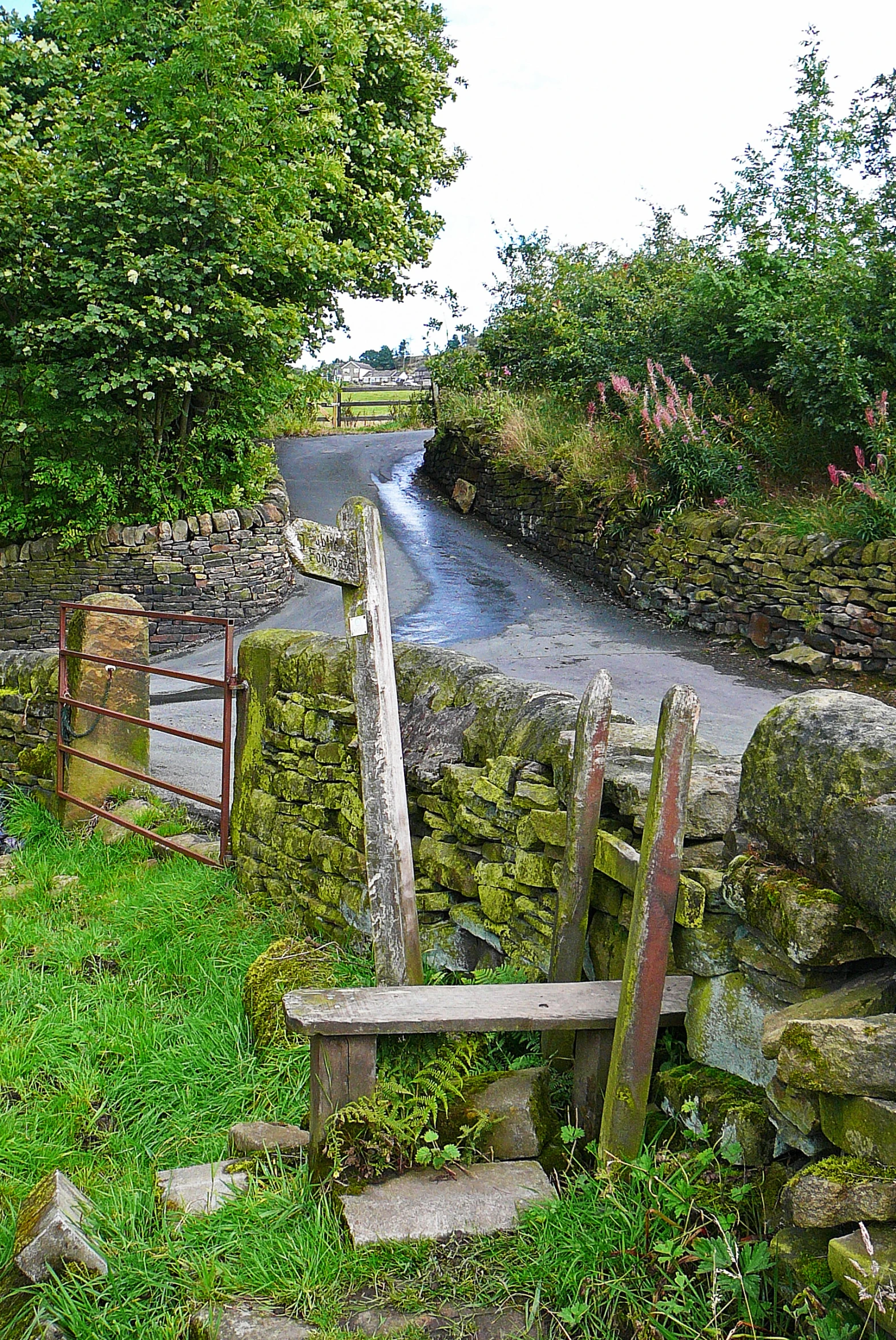 there is a bench by the water in the country