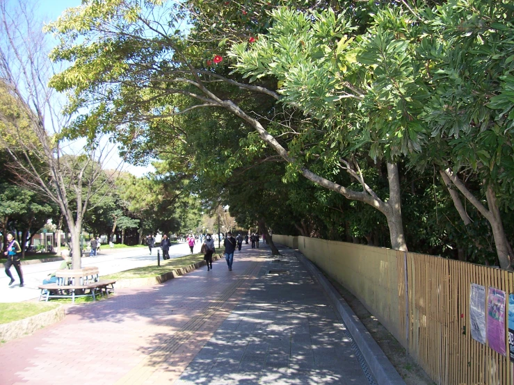 a group of people walking on sidewalk next to trees