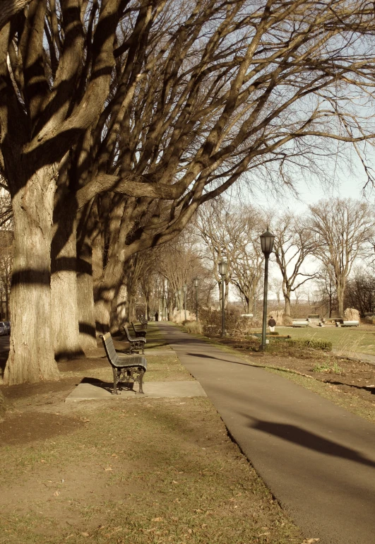 a park bench next to a street with no traffic