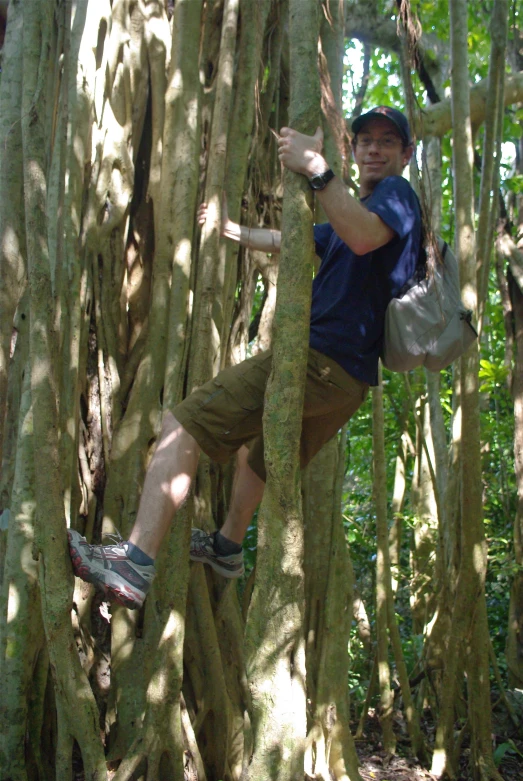 a man climbing up a tree in a forest