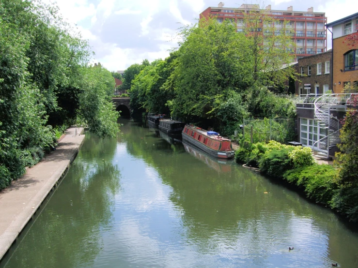 a river flowing through a lush green city