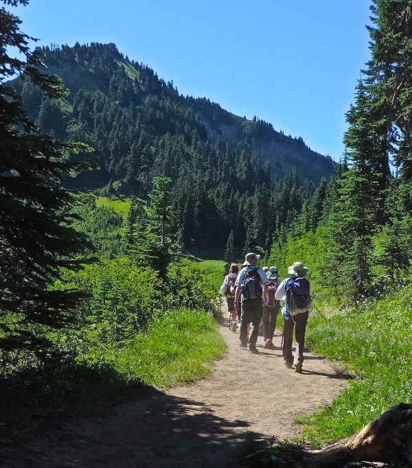 a group of people hiking through the woods together