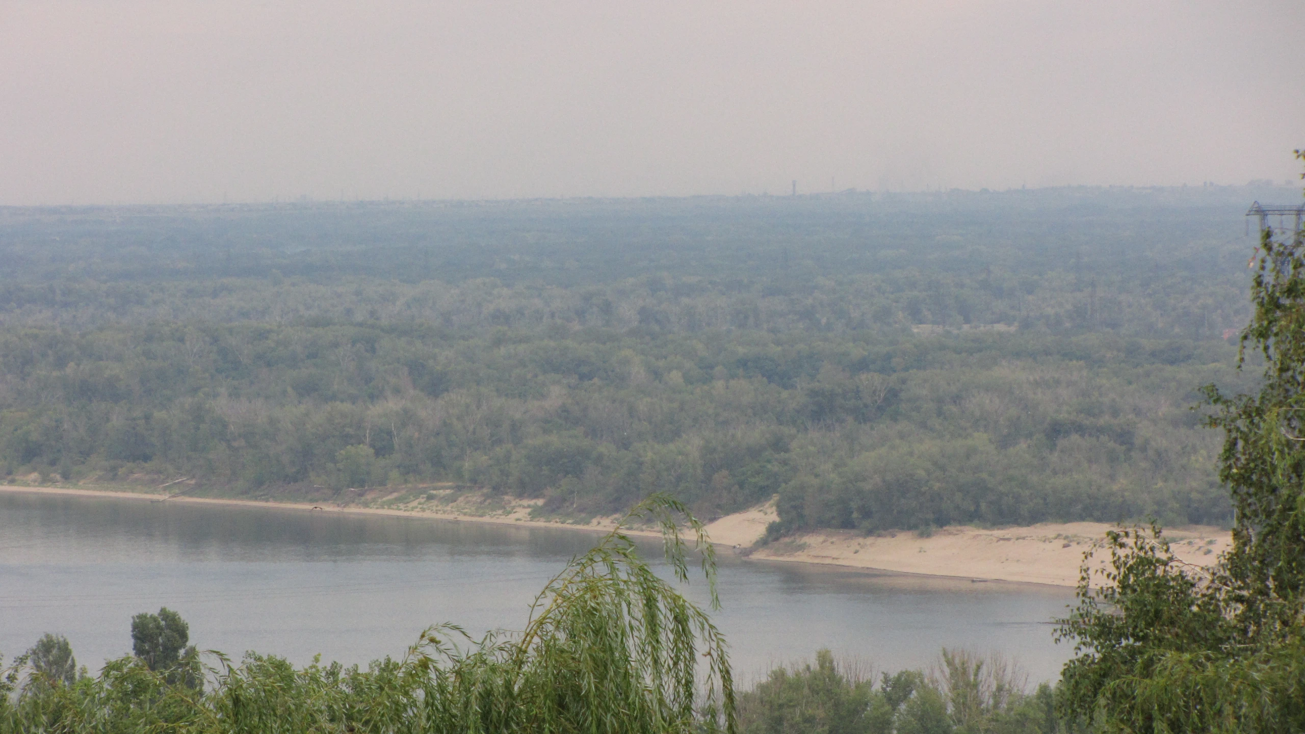 there are some trees and bushes around the lake