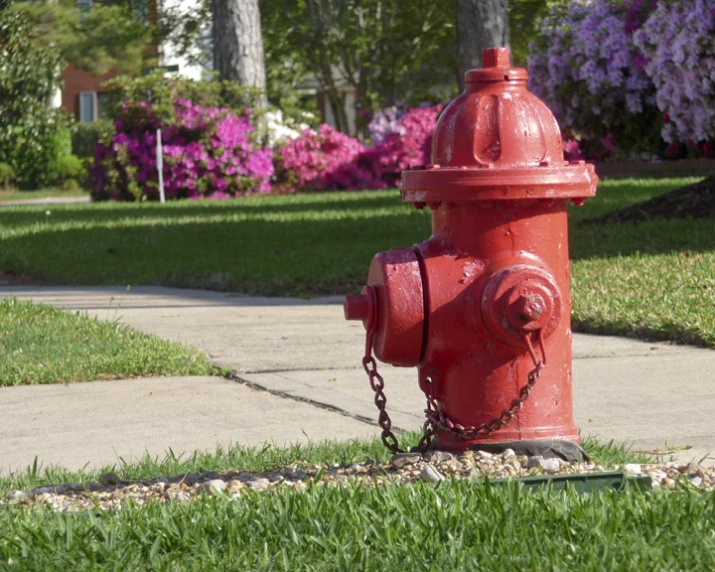 red fire hydrant on sidewalk next to large, colorful flowers
