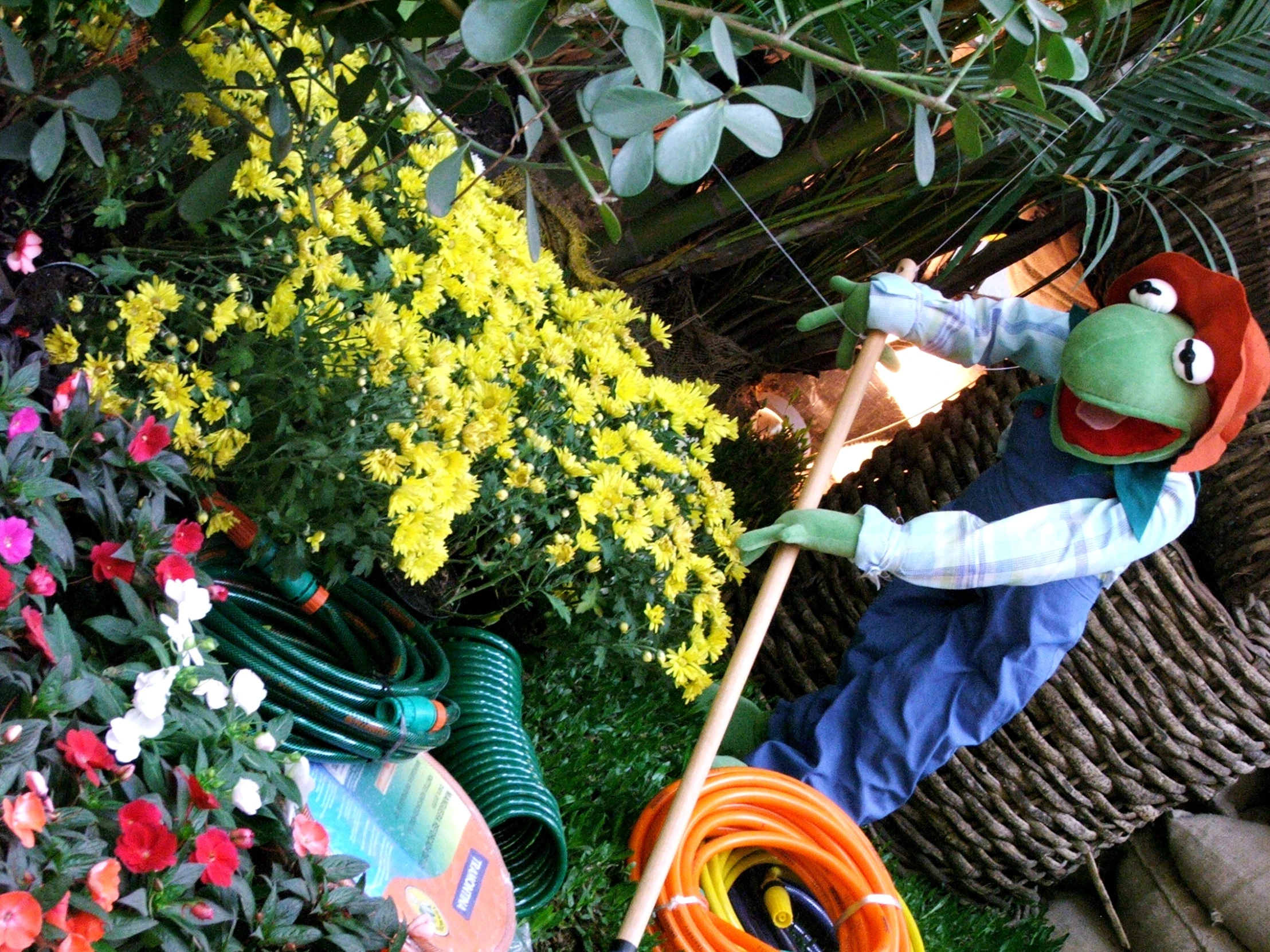 a person in overalls and boots with a watering hose