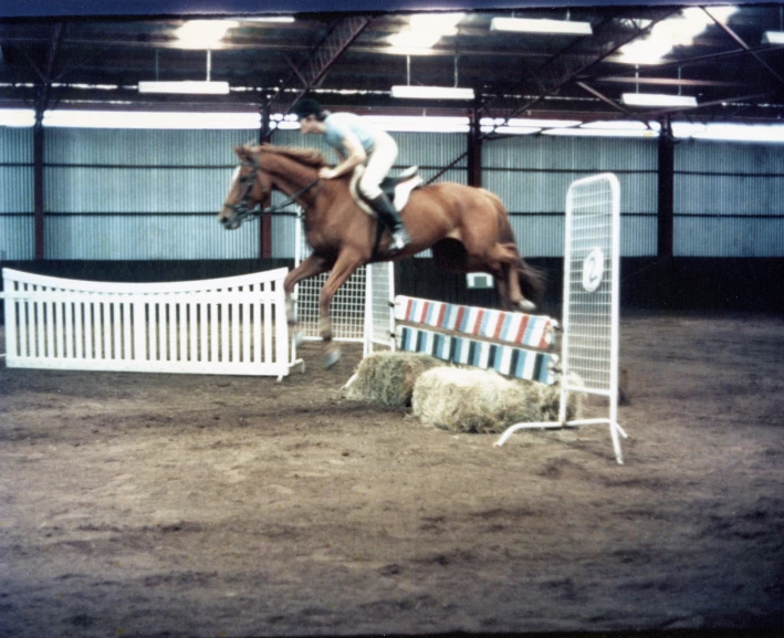 a horse jumping over a white barrier with sheep in a pin