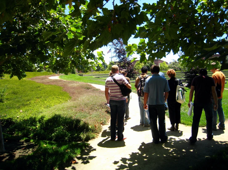 a group of people walk down the sidewalk under a leafy tree