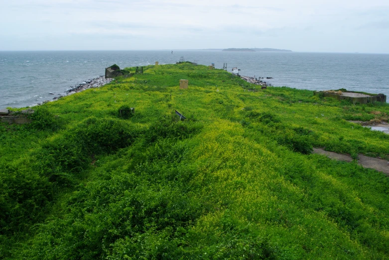 long green path that leads into water on beach