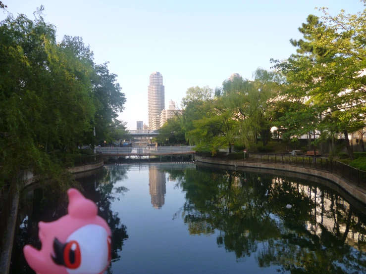 the river is surrounded by trees and buildings