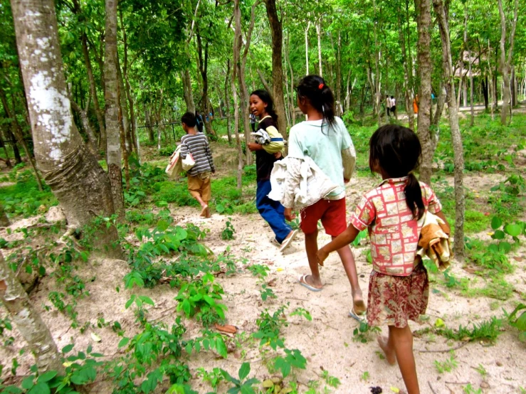 a number of children walking in a forest near trees