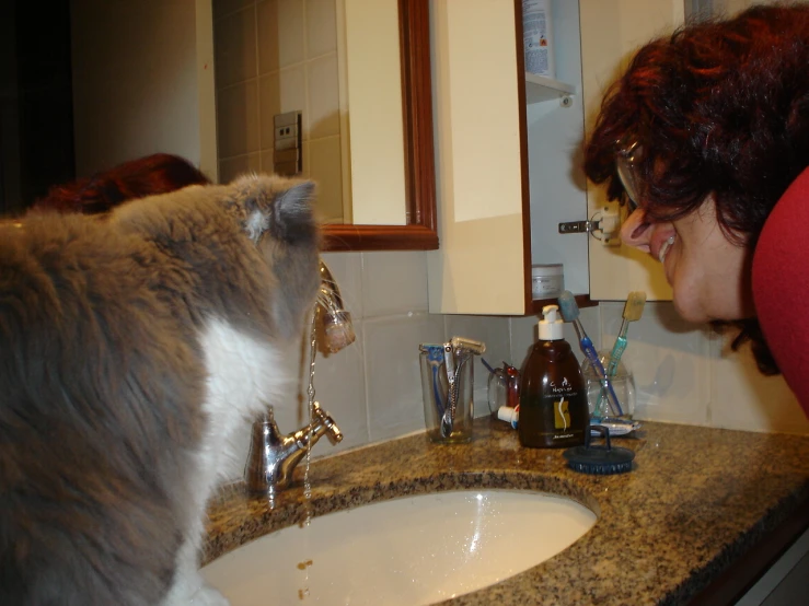 a cat staring at it's owner in the bathroom