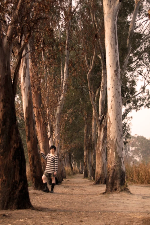 a person sitting on the ground between many trees