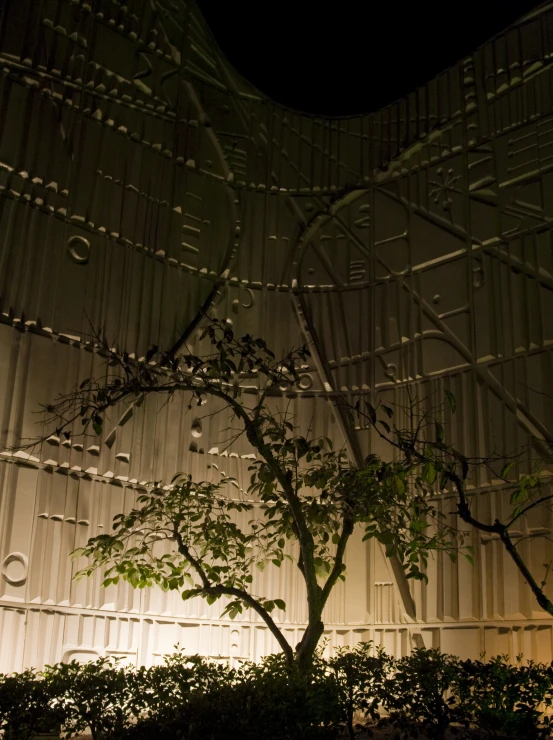 a tree on display in a museum at night
