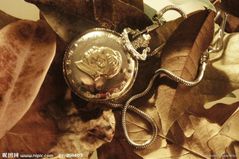 a close up view of a pocket watch on a leafy surface