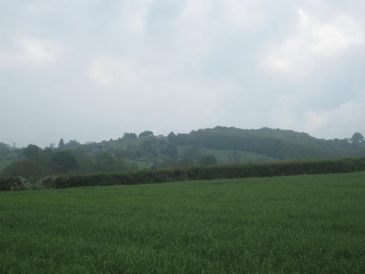 a large field with grass and a mountain in the background