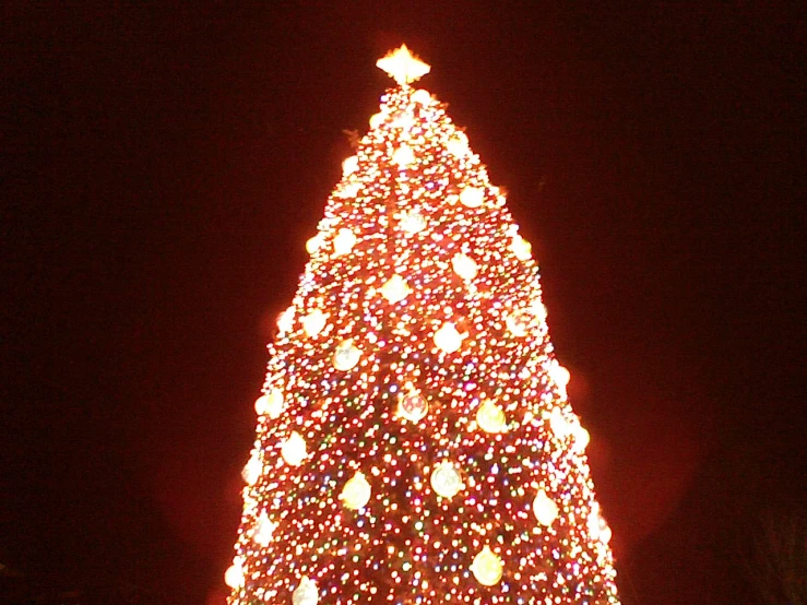 a big christmas tree at night decorated with lights