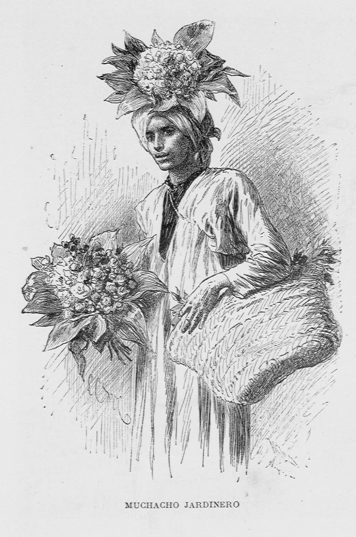 a drawing of a person holding a basket of flowers