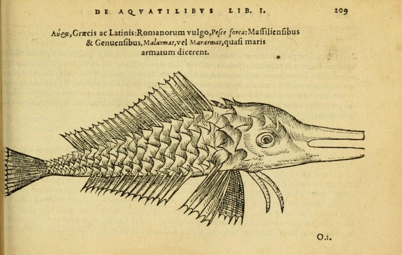 an ancient illustration shows an animal skeleton made from an old book