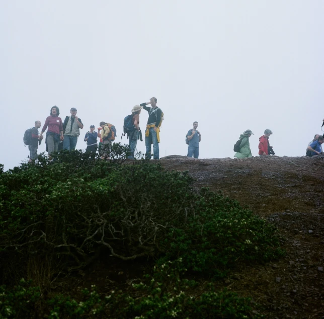 a group of people standing on top of a grass covered hill